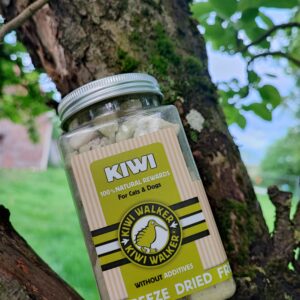 Friandises 100% Kiwi