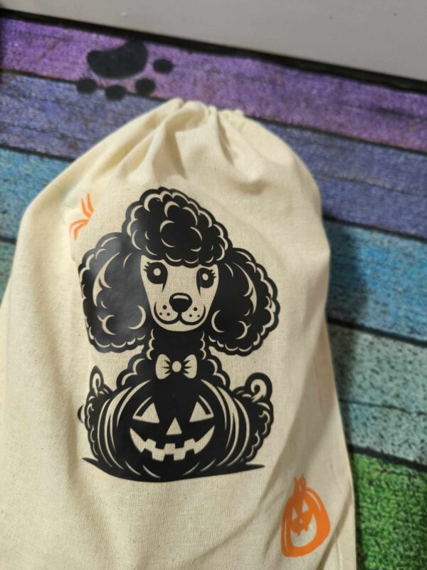 Pochette Halloween caniche 4 pattes académie