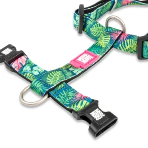 Harnais en H pour chien – Tropical