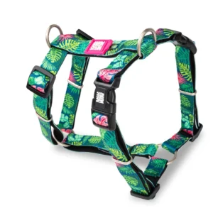 Harnais en H pour chien – Tropical