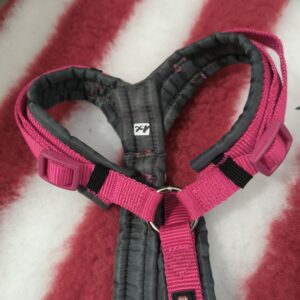 Harnais en H Trixie (Occasion)