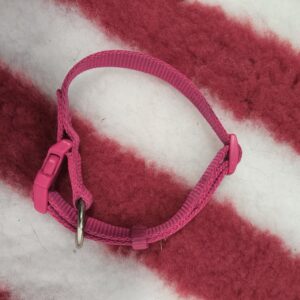 Collier Rose Trixie ( Occasion)