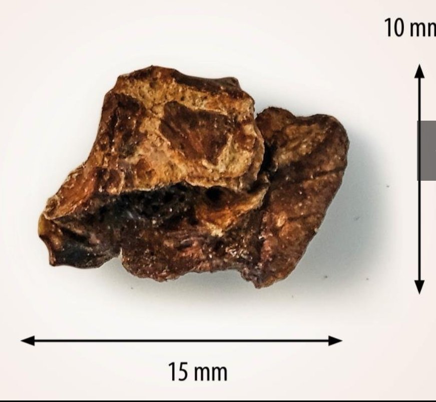 Poumon de Boeuf séché – Image 3