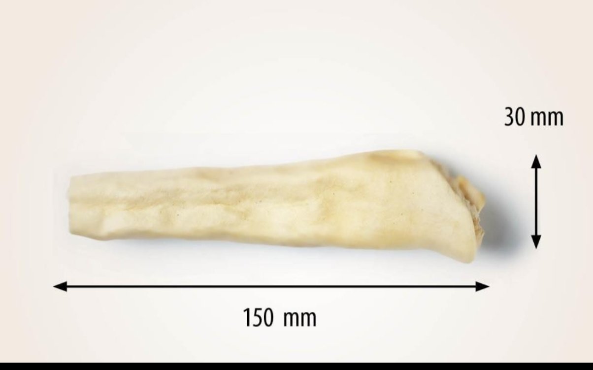 Queues de Bœuf – Image 2